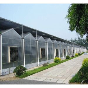 Buy cheap Exhibition Venlo Greenhouse Structure , Polycarbonate Sheet Greenhouse High Output from wholesalers