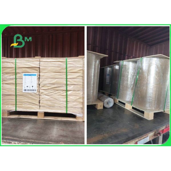 PE coated folding box board PE coated folding box board