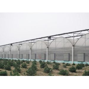 Buy cheap Anti Wind Climate Control Lettuces Multi Tunnel Greenhouse from wholesalers