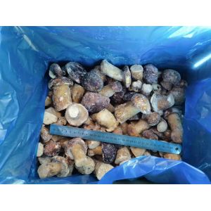 Buy cheap 2025 New Crop high quality frozen Boletus Edulis Mushrooms from wholesalers