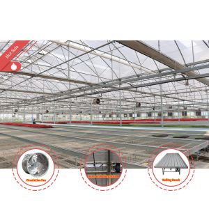 Economical Custom Design Automatic Shading System Multi-span Strawberry