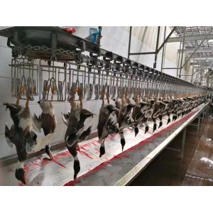 Buy cheap SS 304 Poultry Defeathering Equipment Halal Automatic Chicken Slaughtering Machine from wholesalers