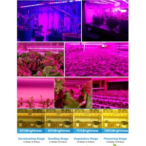 Buy cheap 18w 28w 36w Full Spectrum LED Grow Light Tube Vertical Farm Hydroponics Clone Plants LED Grow Light from wholesalers