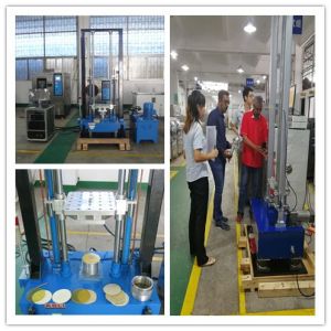 Hydraulic Customized High Acceleration Shock Tester/Mechanical Impact Test