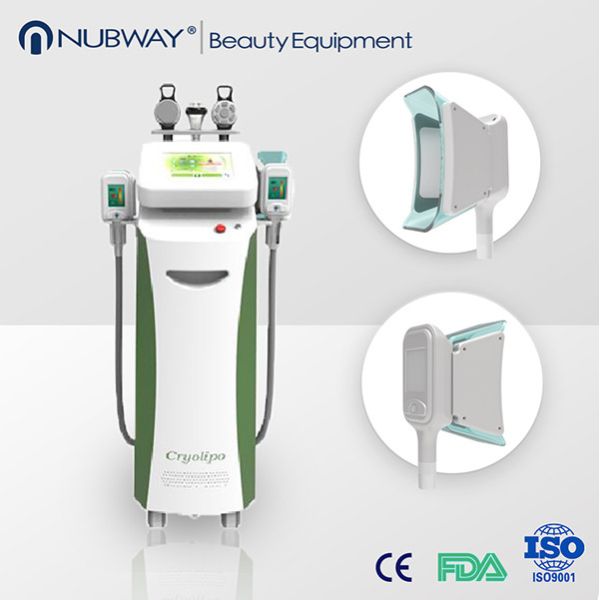 Buy cheap Cryolipolysis Fast Slim Weight Loss Equipment Cryolipolysis Machine in China from wholesalers