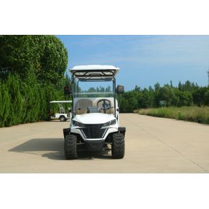 White 2 Seat Cargo Golf Cart with Lithium Battery CE Certification