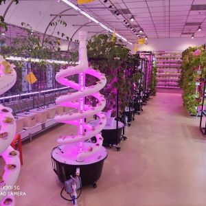 Buy cheap Double Helix Hydroponic Indoor Garden Vertical Hydroponics Growing System from wholesalers