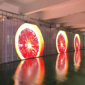 High Refresh Rate Transparent Glass Display , Advertising Transparent LED Screen