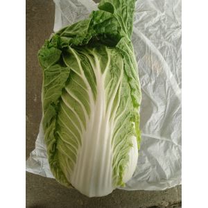 Buy cheap Eco Friendly Pointed Head Cabbage / Good Taste Chinese Flat Cabbage from wholesalers