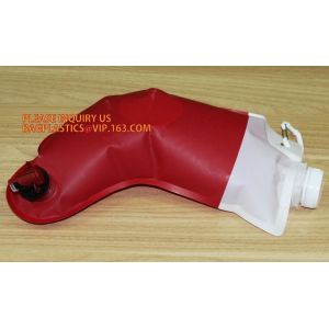 5L 220L fresh watermelon juice packing bag in box with spout automatic valve