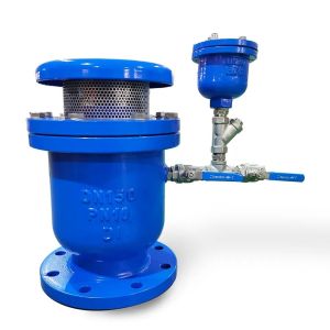 Buy cheap Water Cast Iron Compound Relief Valve 3 Inch Air Valves Vents with DI Body Material from wholesalers