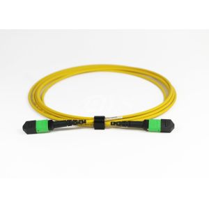 Buy cheap 24 Core MPO/MTP 3.0mm 3M Cable Optical Fiber Patch Cord Round Fiber Cable Type from wholesalers