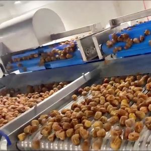 Buy cheap High Capacity AI Powered Date Sorting Machine 360° Rotating Scanning 8 Lanes + 8 Outlets 2.4-2.6T/H from wholesalers