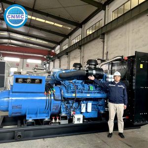 Buy cheap Doosan Container Diesel Generator 3000KW 3750KVA Multipurpose from wholesalers