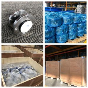 Switch PTFE Rubber Expansion Joint