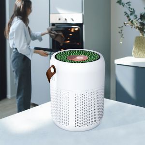 Plug-in Air Purifier with H13 HEPA Filter and Auto/Manual Modes