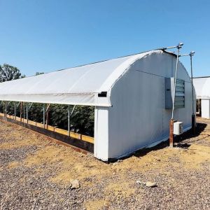 Buy cheap Auto Blackout Custom Fully Light Deprivation Agricultural Mushroom Greenhouse from wholesalers