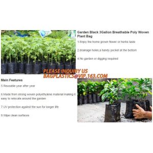 Garden Grow Bags Aeration Fabric Pots Potato Planter Bag with Handles and Access