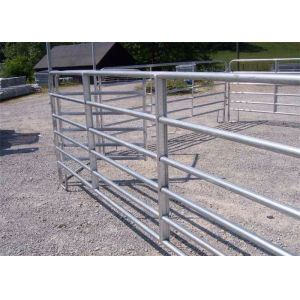 1800mm x 2100mm Horse Fence Round Pen 42mm O.D x 1.6 mm thickness Arena Corral