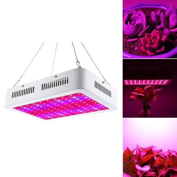 Quality 80W 5950LM Indoor LED Grow Lamp 100 degree Beam Angle With Hanging Hook Steel String for sale