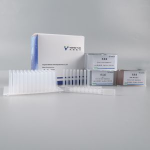 Buy cheap DNA RNA Extraction Column Kit Nucleic Acid Extraction And Purification from wholesalers