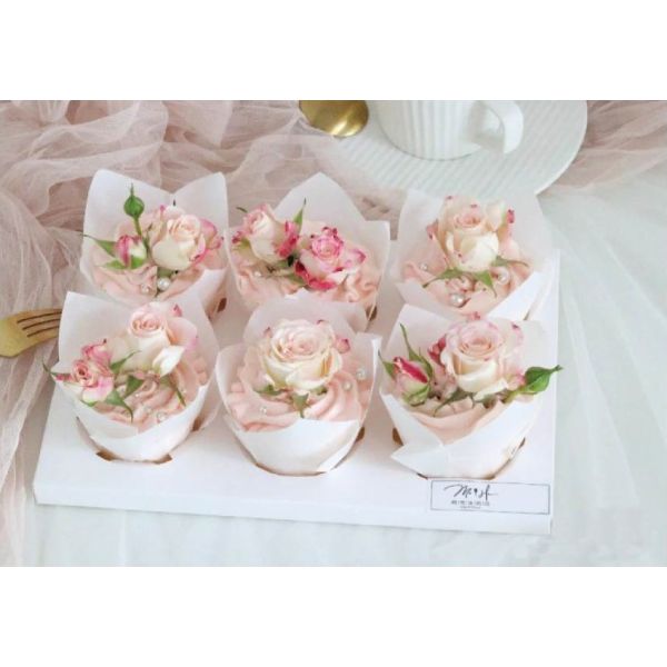 Pantone Printed Cupcake Paper Cups Non Stick Muffin Liners