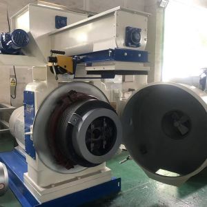 Buy cheap Automatic Lubrication Biomass Wood Pellet Machine 5t/h from China from wholesalers