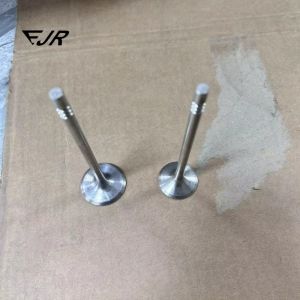 Buy cheap GHIBLI III M157 Cylinder Head Inlet Valve For 3.0 V6 2WD 4WD Engine And Long-Lasting from wholesalers