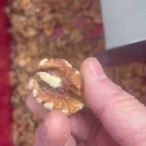 Buy cheap Walnut Kernel Sorting Machine With Smart Dual-Camera Scanning AI-Powered Deep Learning Easy Intelligent Operation High Precision from wholesalers