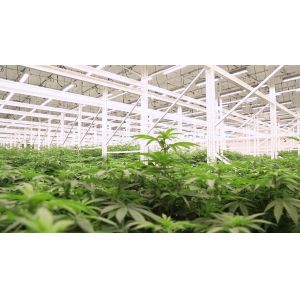 2 To 5 Ton Load 4*4ft Greenhouse Seed Tray Racks For Plants