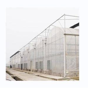 Buy cheap 8m Span Width Multi Span Agricultural Greenhouses For Versatile Farming Solutions product