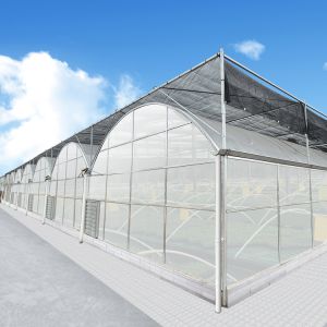 Buy cheap Agricultural Farm Multispan Polycarbonate Panels Greenhouse with Shading System from wholesalers
