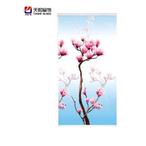 Buy cheap Roller blinds fabric,printed window shades,window shuttes,new design printed roller blinds New design for roller blinds from wholesalers