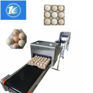 Purple Ink Multiple Lines and Provided Service Eggs Inkjet Printer