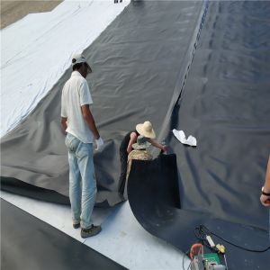 Smooth Plastic Black White Blue Green HDPE Geomembrane for 2mm Environmental