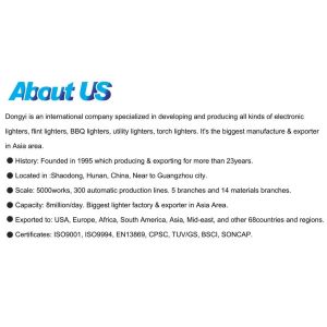 Buy cheap Electric Gas Lighter DY-026 with ISO9994 Certification from Hunan Dongyi EUR Standard from wholesalers