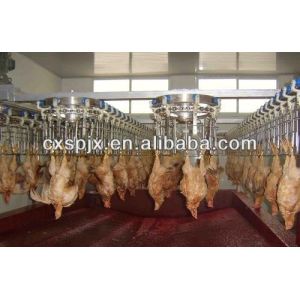 Halal Chicken Slaughter Line/Equipment for Other Processing and Performance