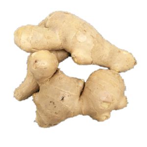 Buy cheap Dehydrated Whole Dried Ginger , Dried Fruit And Vegetables Clean Cooking Appearance from wholesalers