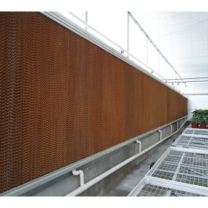 Buy cheap 10m Tunnel Width Multi Span Greenhouse Hot Zone Desertic Wind Resistance Greenhouse from wholesalers