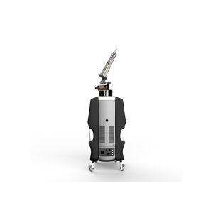 Popular 600ps pulse laser tattoo pigment removal picosecond beauty machine in