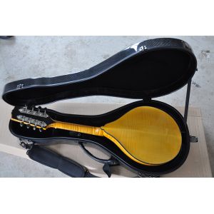 Buy cheap Factory custom Handmade custom advanced 8 strings mandolin electric guitar with ebony fretboard from wholesalers