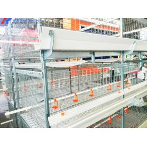 Buy cheap Hot Dip Galvanized Steel Chicken Layer Cages With Automatic Equipment from wholesalers