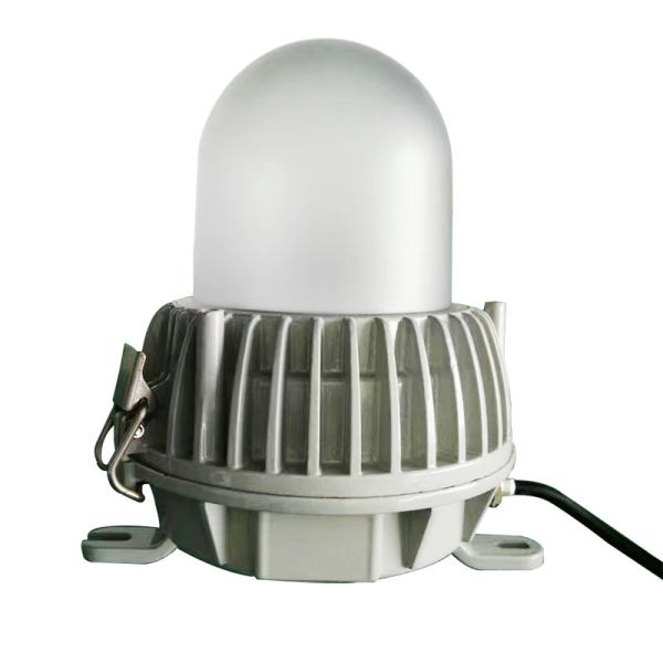 Hazardous Location Explosion Proof Lighting , IP65 Flameproof Light Fittings
