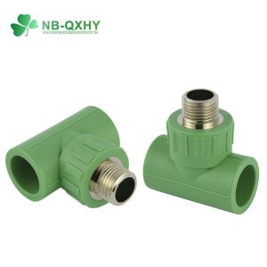 Buy cheap PPR Pipe Fitting Male Thread Elbow Wall Plate and Durable for Hot Water Round Head Code from wholesalers
