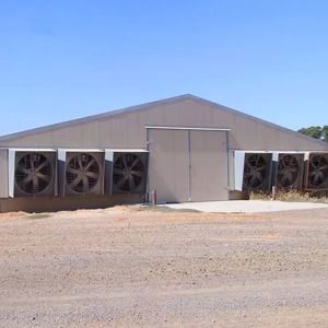 Buy cheap Automatic Chicken House Broiler Poultry Farm Equipment from wholesalers
