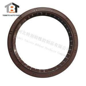 95x114x20 Mm SINO HOWO Truck Oil Seal NBR/ FKM Good Rubber Double Lips Sealling