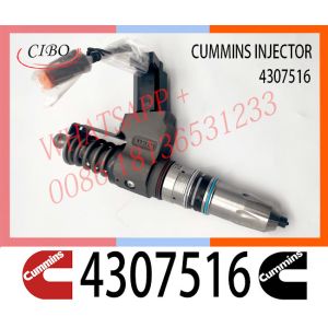 High Reputation Advantage Supply NTA855 QSN ISM11 M11 Fuel Injector 4384360