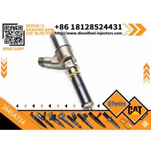 Fuel Injector 2645A718 2645A734 2645A747 for Perkins 1104D-E44TA Diesel Engine