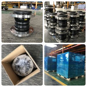 High Pressure Resistant Double Ball Rubber Expansion Joint SS304 Flange Design