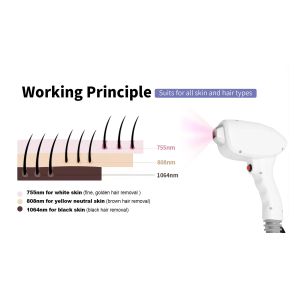 Buy cheap Most Sell Product 2 in 1 Picosecond Tattoo Removal Diode Hair Removal 755 808 1064 Nm Ice Hair Remove Machine from wholesalers